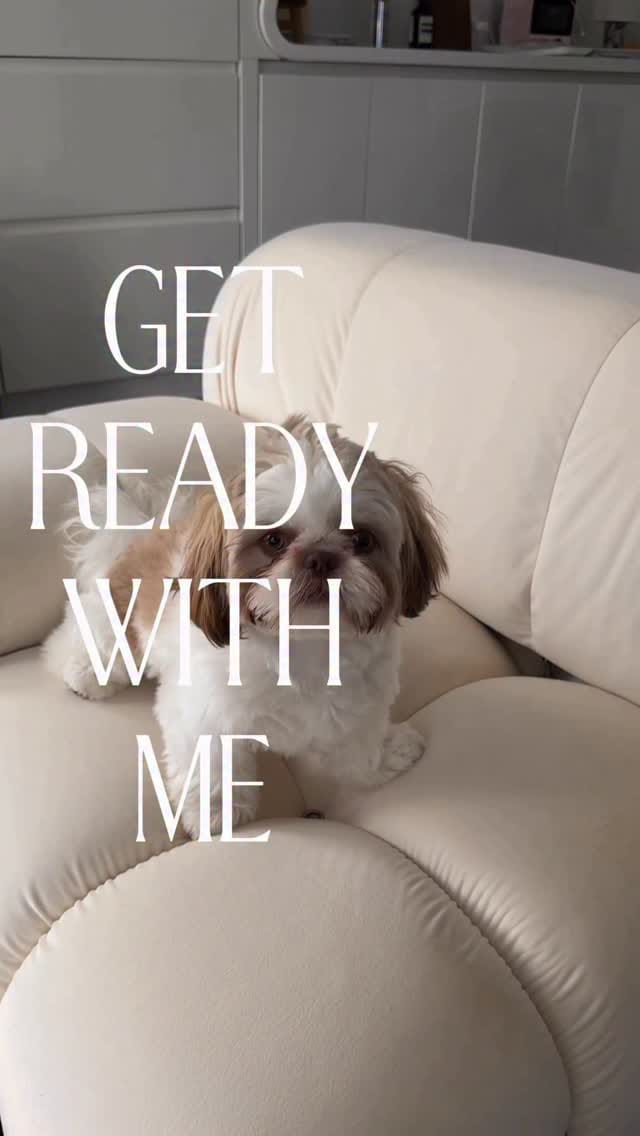 Post 7 by Coop | The Pup of Wall Street 🐾 on Instagram (video)