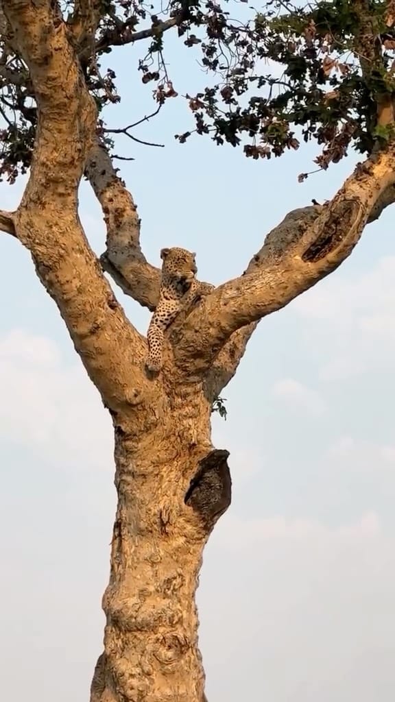 Post 3 by Nicole Stanners on Instagram (video)