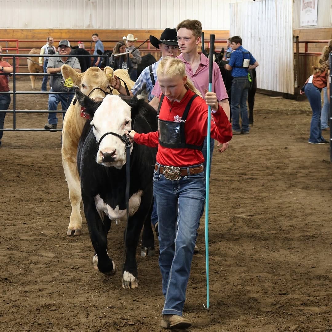 Post 5 by 4-H Alberta on Instagram (carousel)