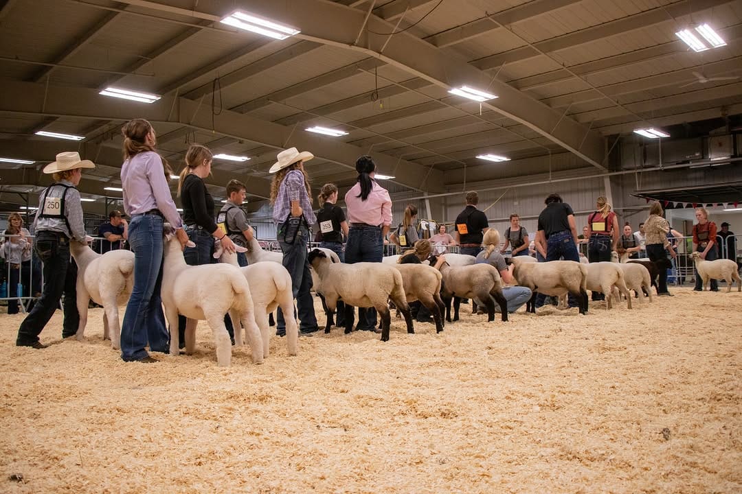 Post 6 by 4-H Alberta on Instagram (carousel)