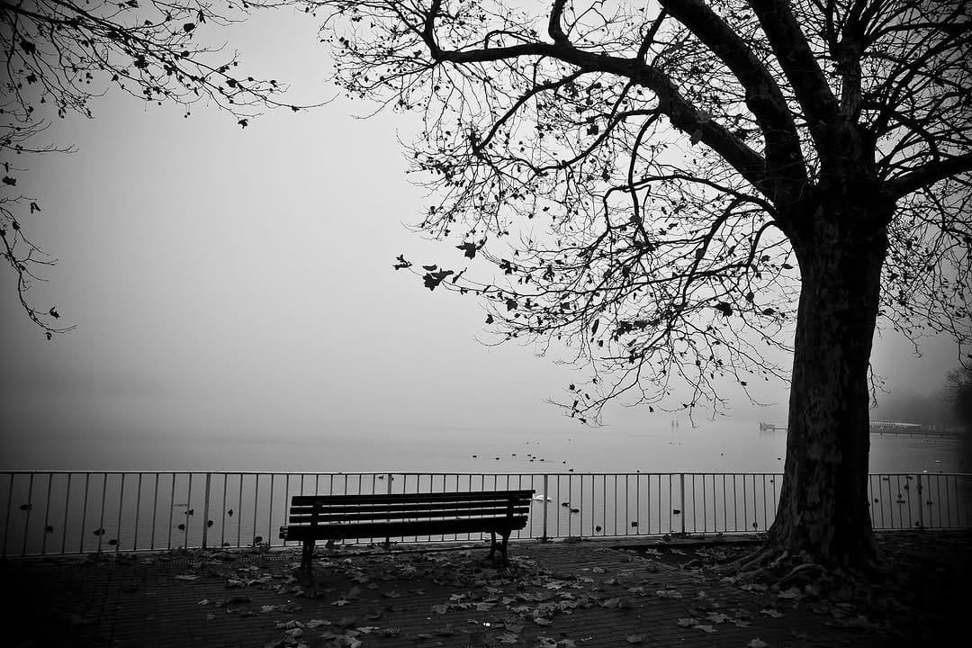 Post 3 by Moritz Köster on Instagram (image)