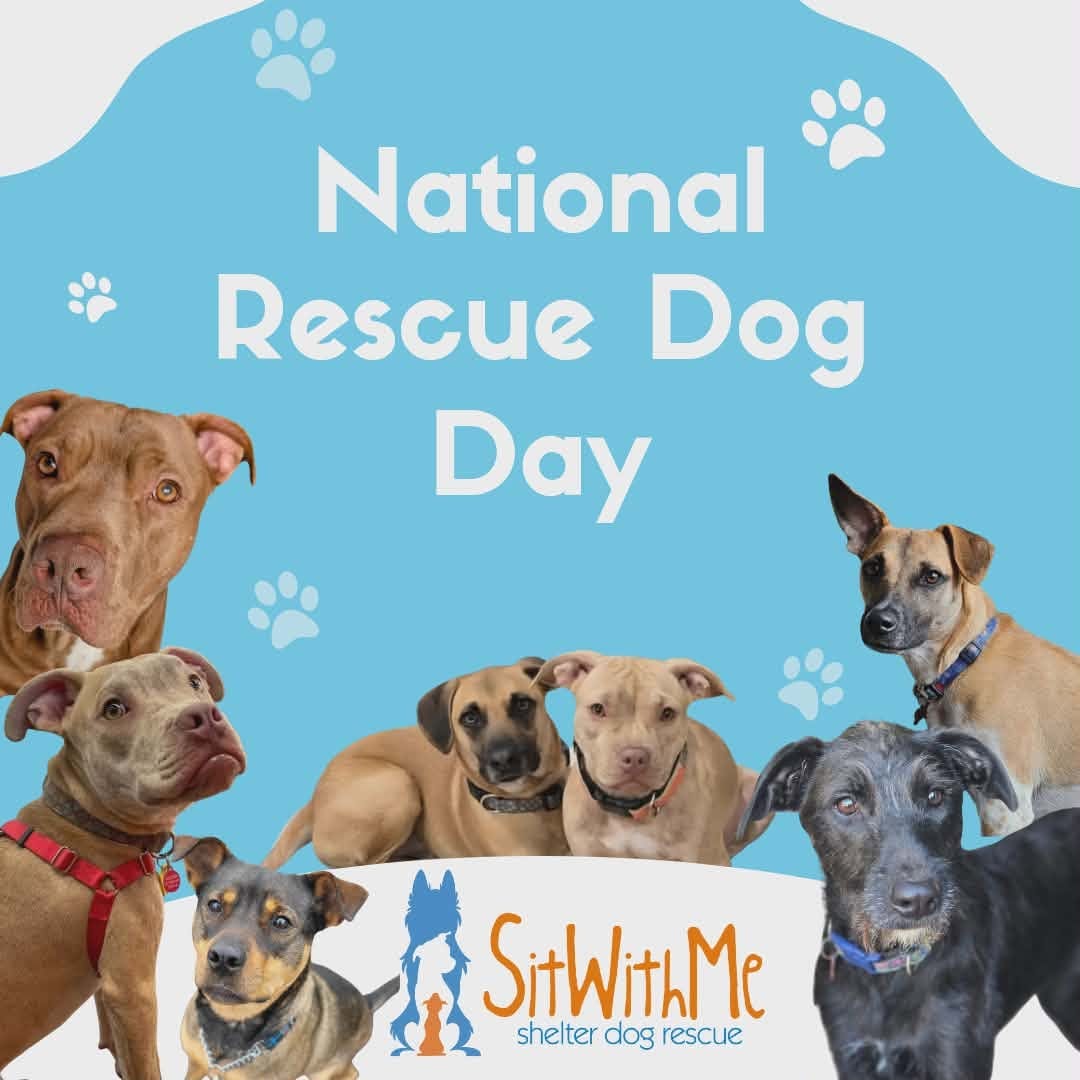 Post 10 by Sit With Me Rescue on Instagram (image)