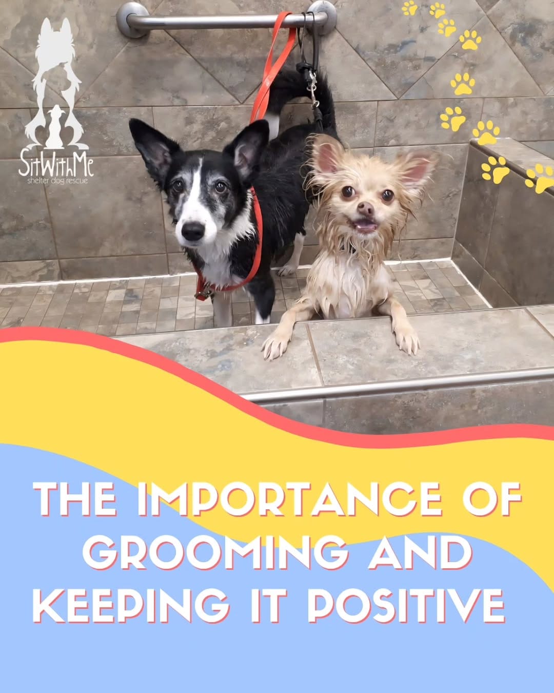 Post 5 by Sit With Me Rescue on Instagram (image)