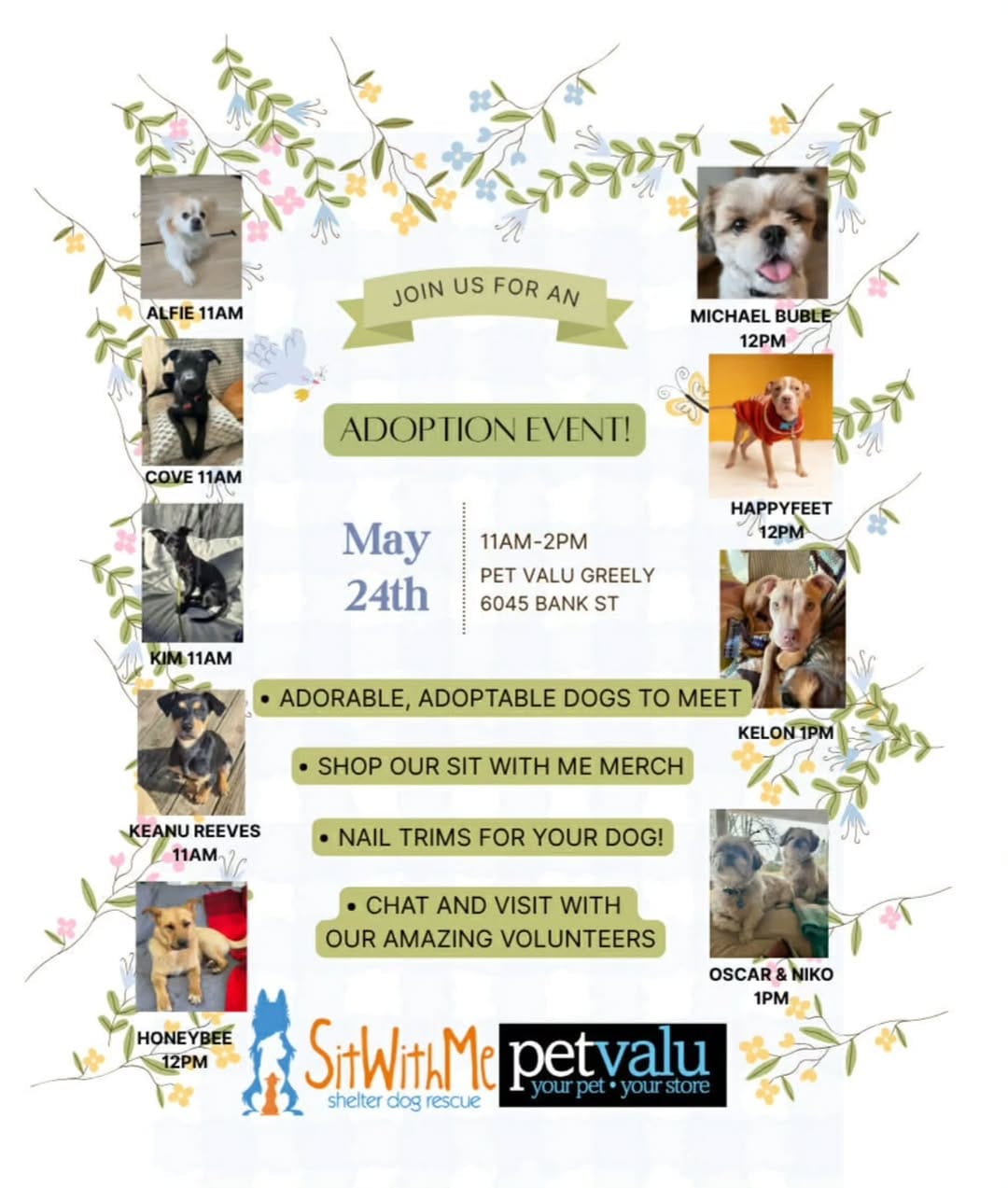Post 7 by Sit With Me Rescue on Instagram (image)