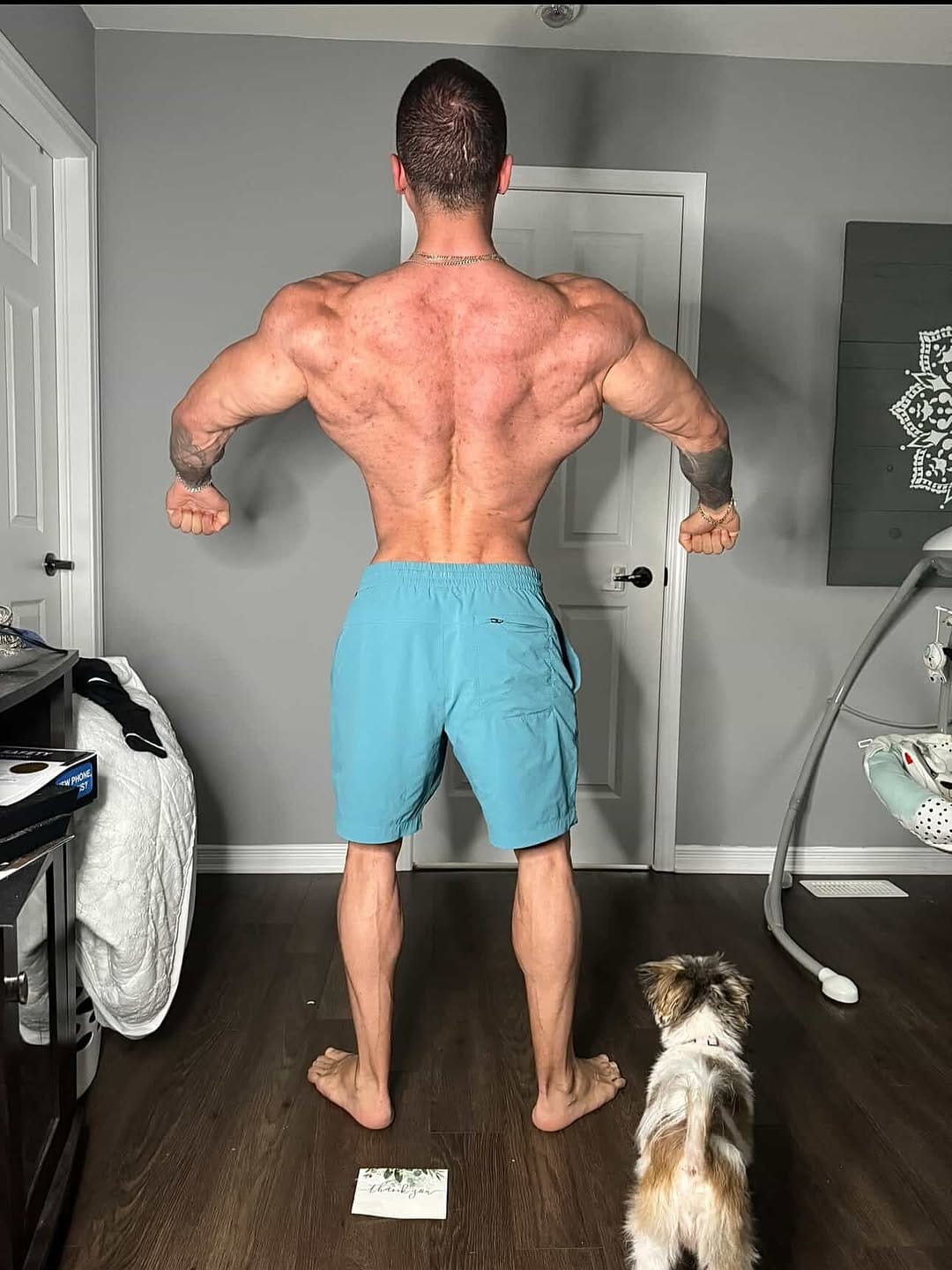 Post 6 by Ontario Muscle on Instagram (image)