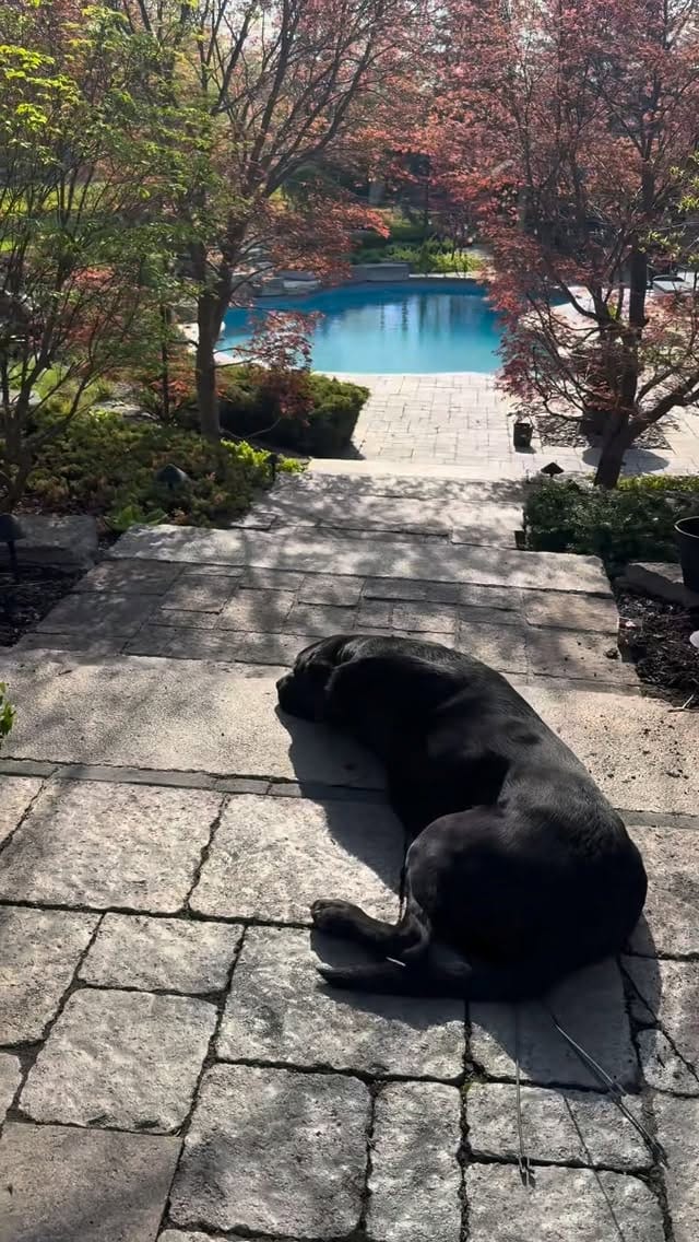 Post 6 by Tara McCarthy on Instagram (video)