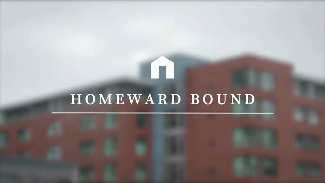 Post 8 by WoodGreen Community Services on Instagram (video)