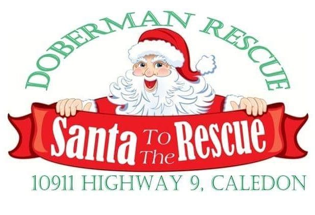 Post 9 by Doberman Rescue Ontario on Instagram (image)