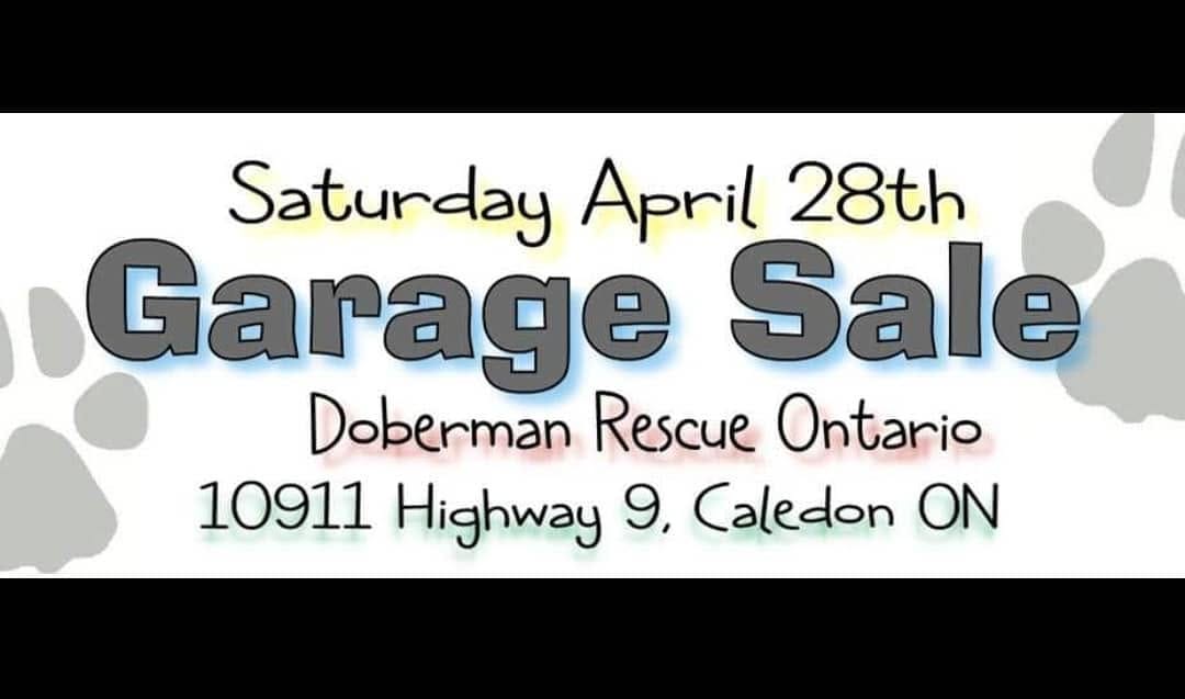 Post 6 by Doberman Rescue Ontario on Instagram (image)