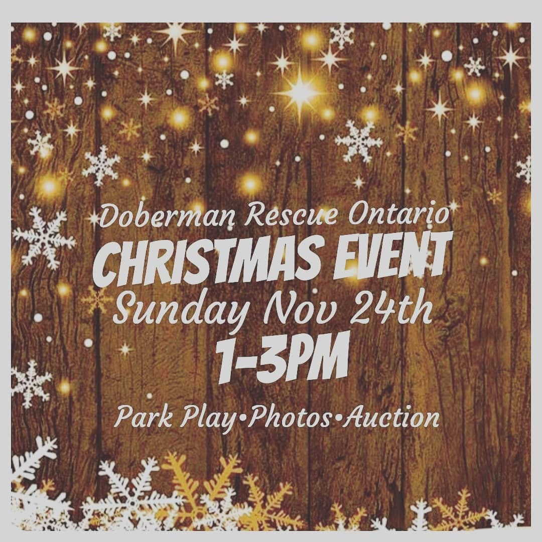 Post 2 by Doberman Rescue Ontario on Instagram (image)