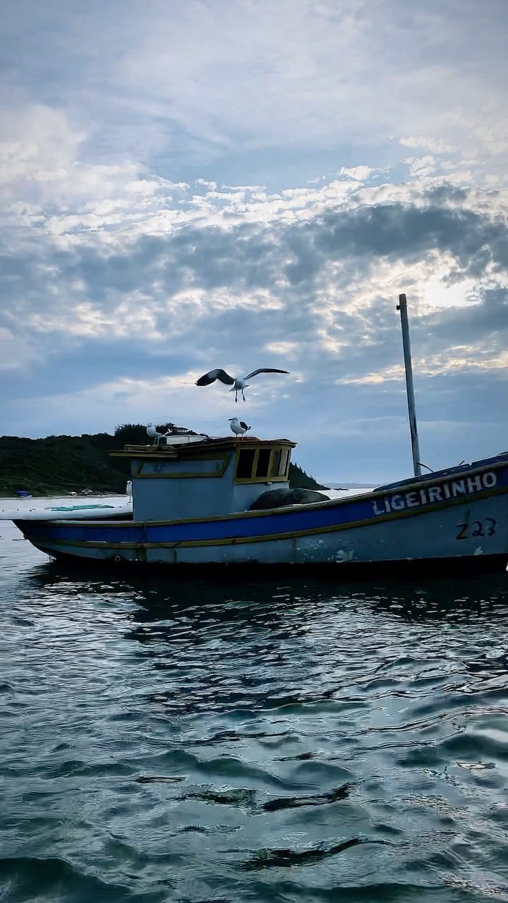 Post 10 by Aleksandar '"Aki" Jelic on Instagram (video)