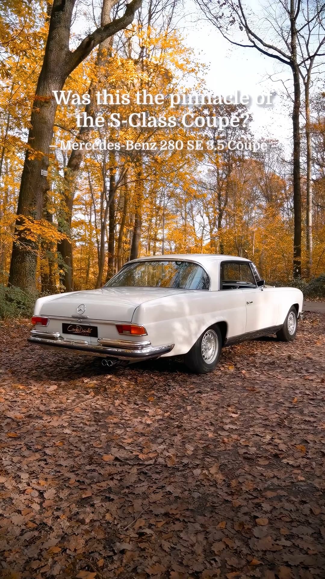 Post 10 by Carola Daimler Cars | classic & vintage cars on Instagram (video)