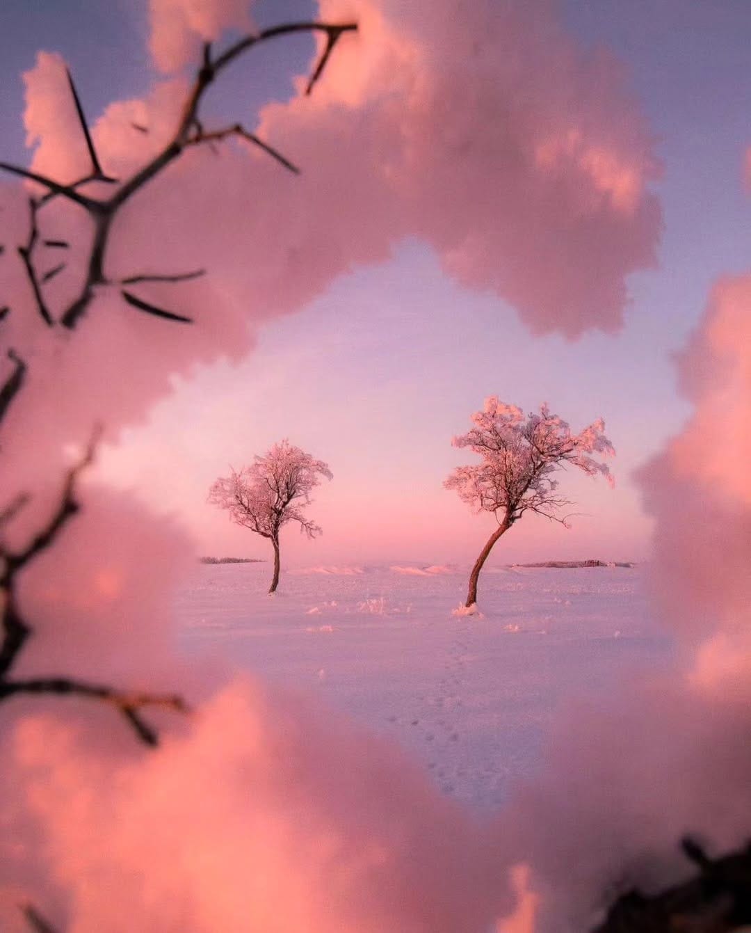 Post 5 by manitoba features 🇨🇦 on Instagram (image)