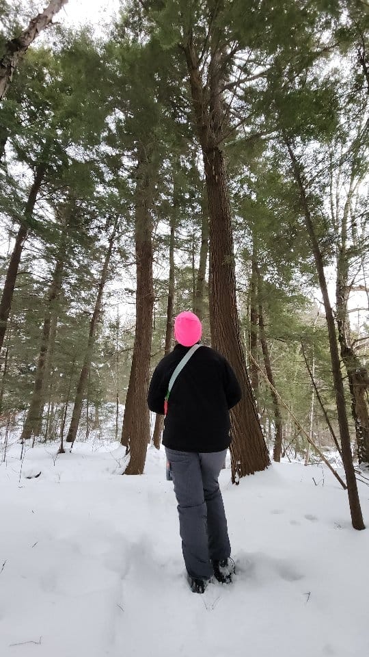 Post 9 by Haliburton Highlands on Instagram (video)