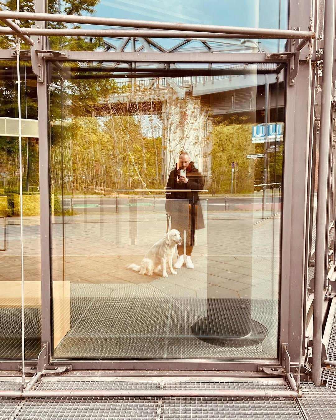 Post 7 by Pat on Instagram (carousel)