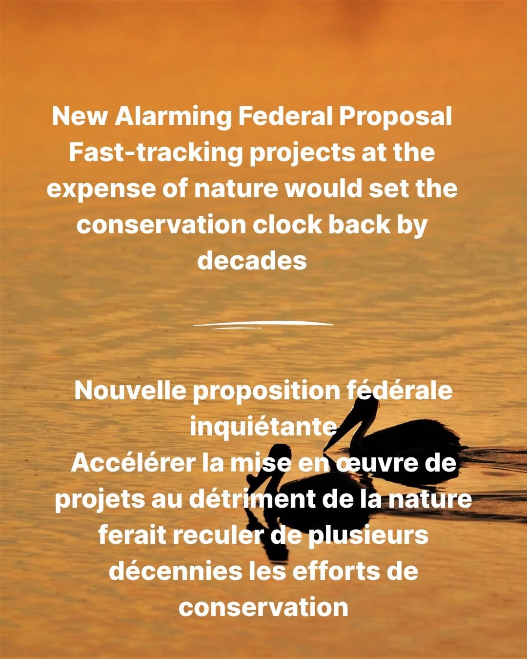 Post 3 by CPAWS • SNAP Canada on Instagram (carousel)