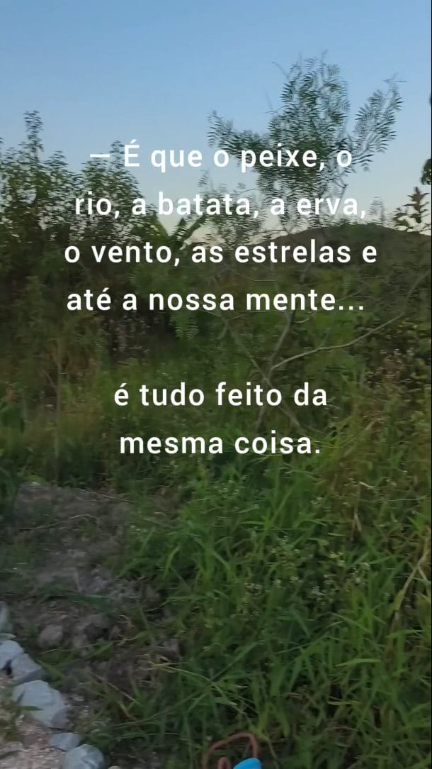 Post 4 by Os Amigos do Vento on Instagram (video)