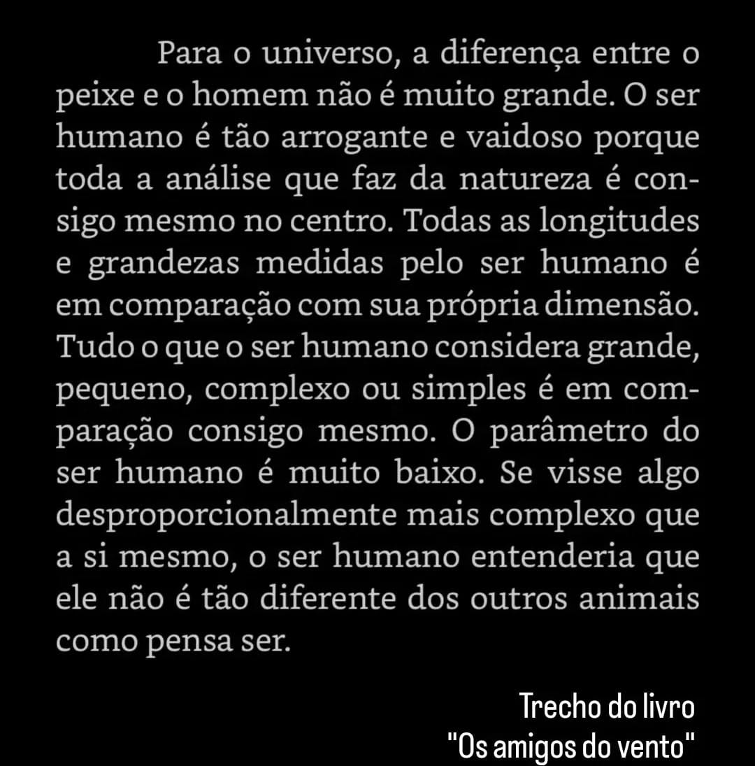 Post 7 by Os Amigos do Vento on Instagram (image)