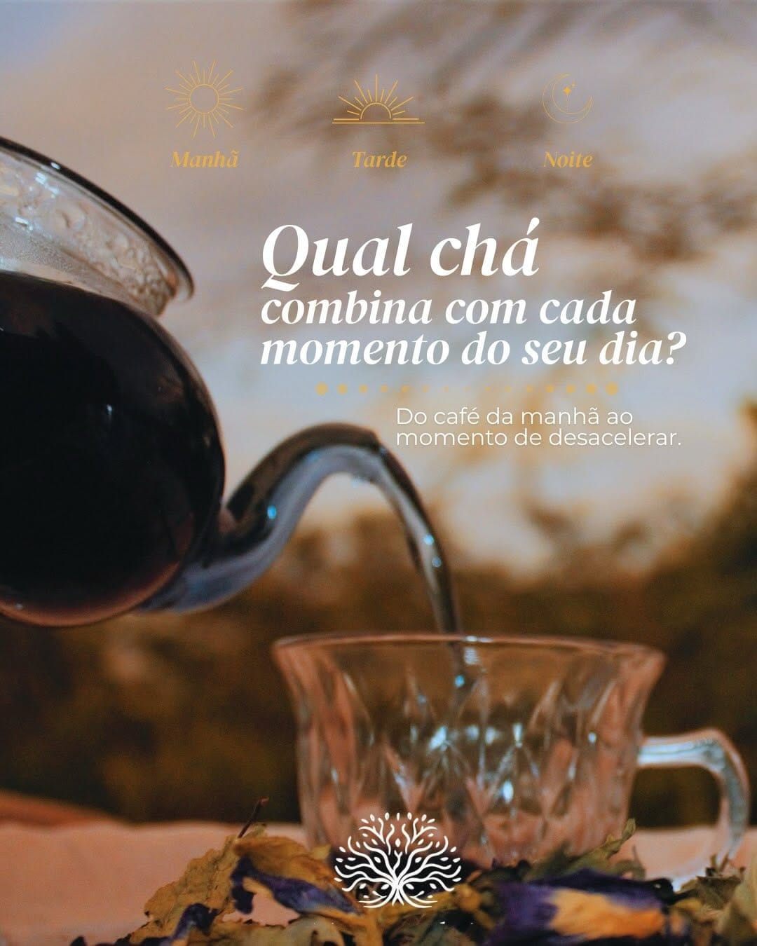Post 4 by Sítio Mangabeira | Agroflorestal on Instagram (carousel)