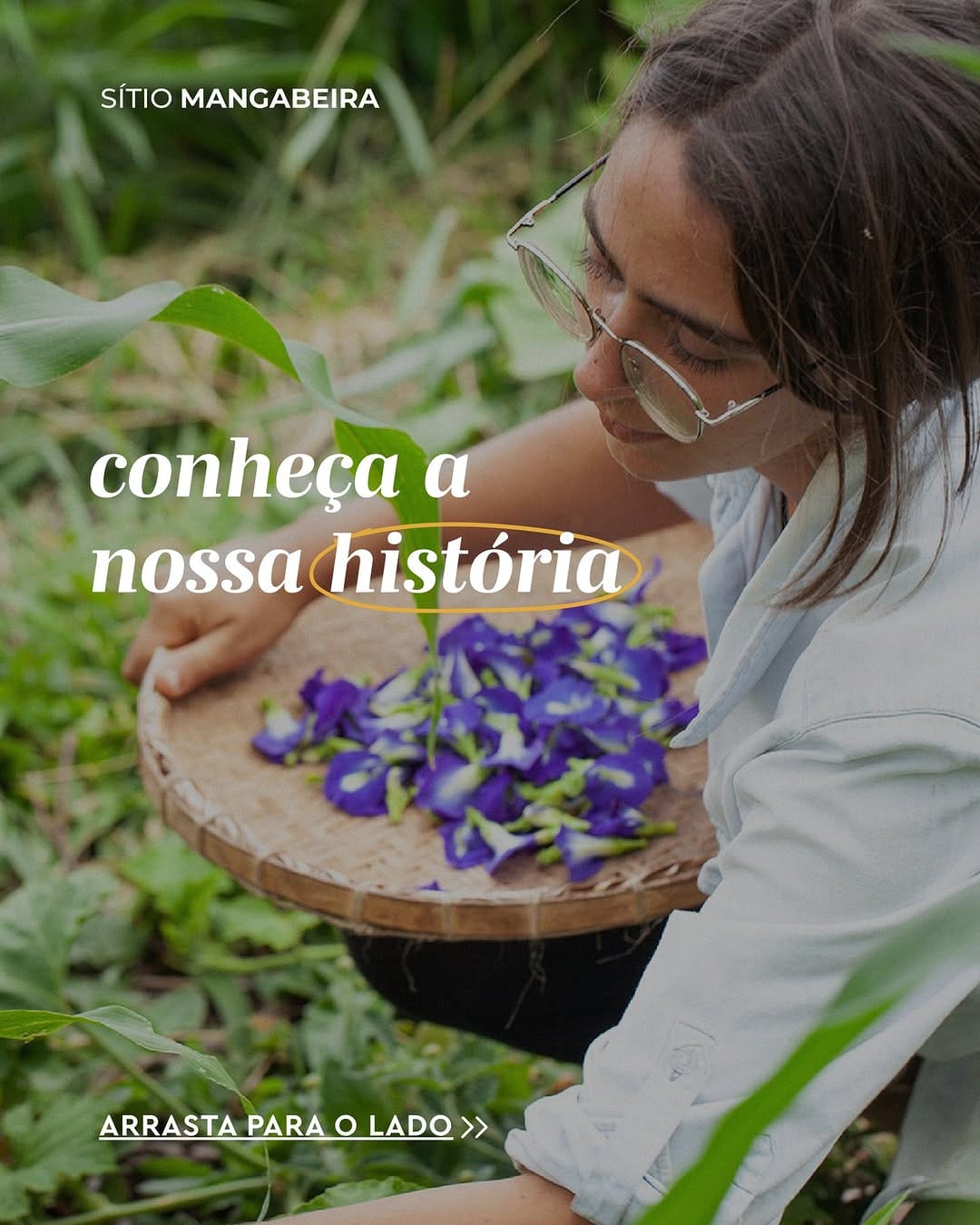Post 10 by Sítio Mangabeira | Agroflorestal on Instagram (carousel)