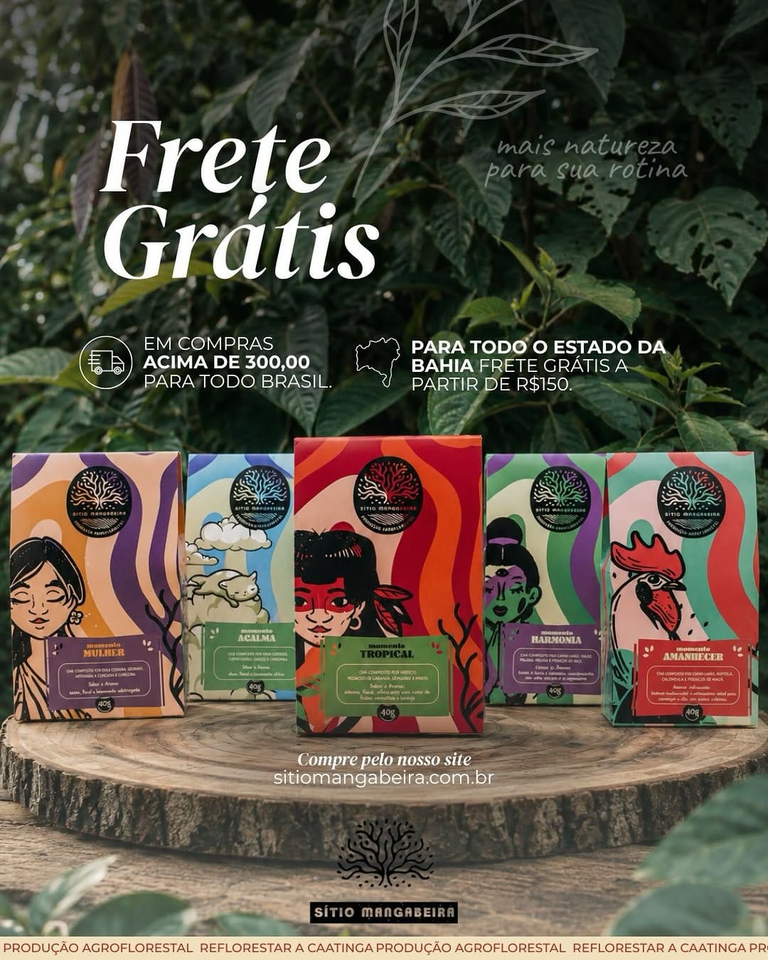 Post 3 by Sítio Mangabeira | Agroflorestal on Instagram (image)