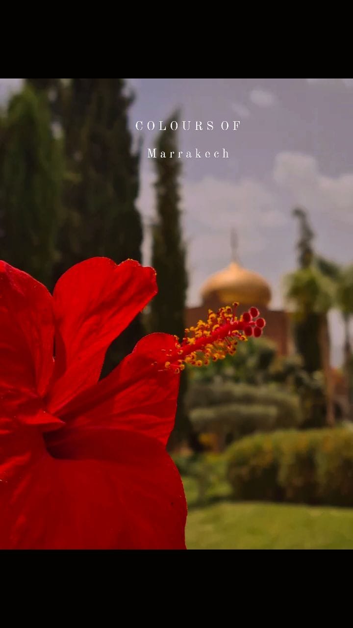 Post 1 by Twin Sights on Instagram (video)