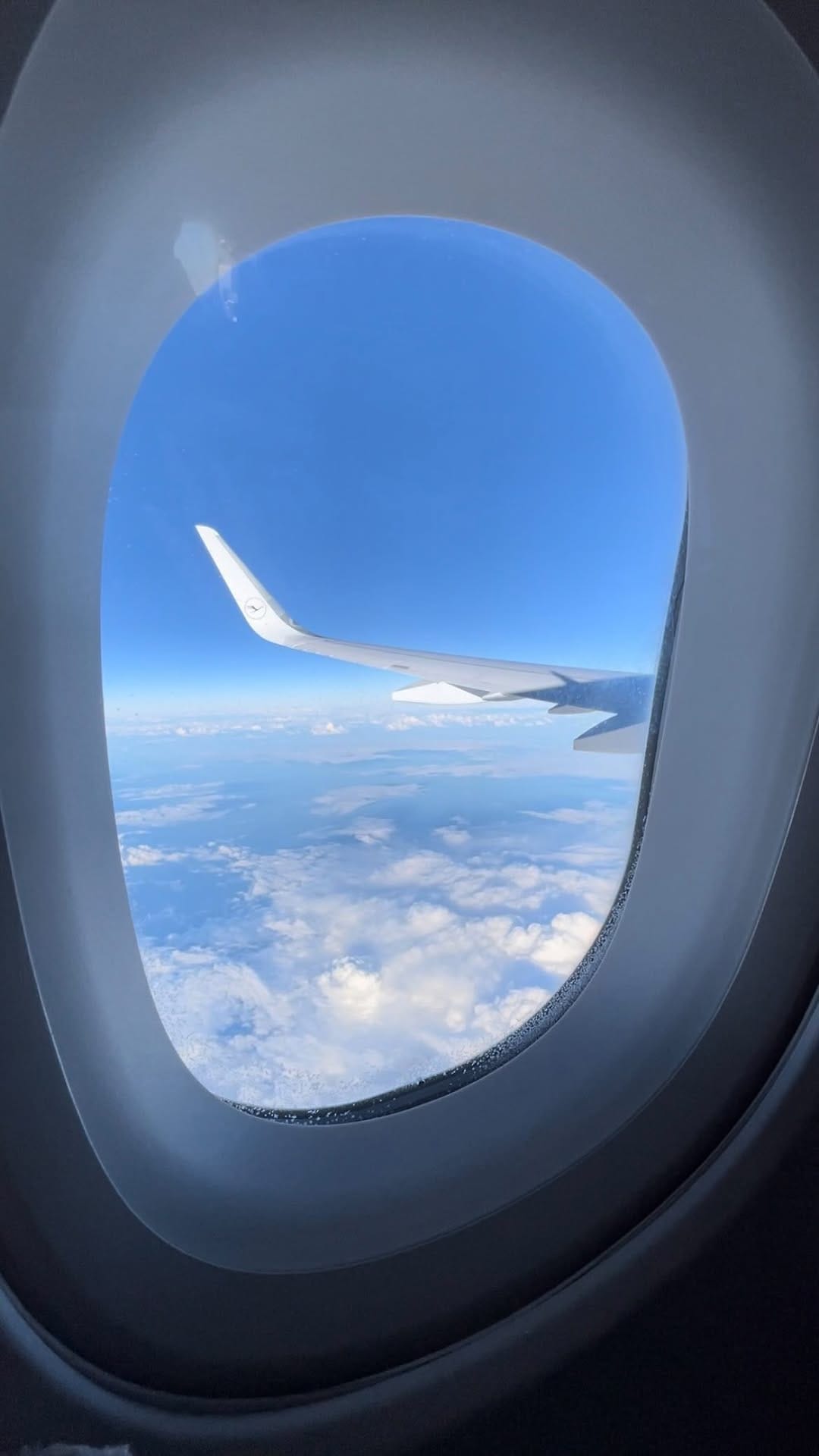 Post 3 by H a n n a h    L i l i a on Instagram (video)