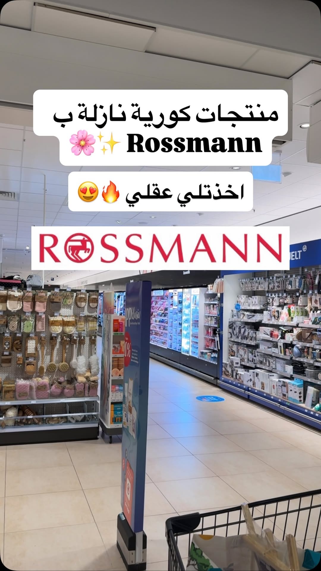 Post 10 by Fatima Ali | فاطمة علي ✨ on Instagram (video)
