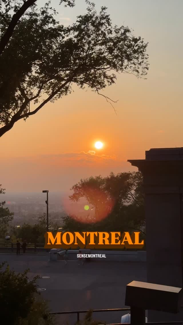Post 4 by Sense Montreal on Instagram (video)