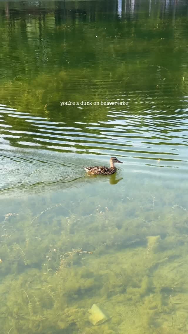 Post 7 by Sense Montreal on Instagram (video)