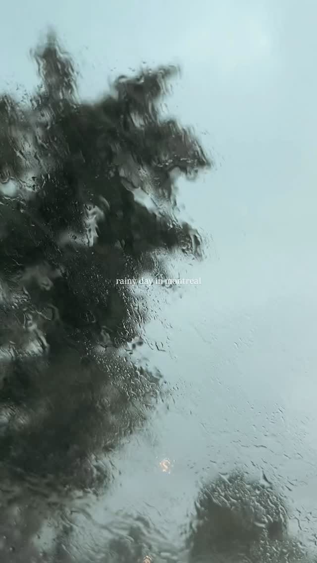Post 10 by Sense Montreal on Instagram (video)