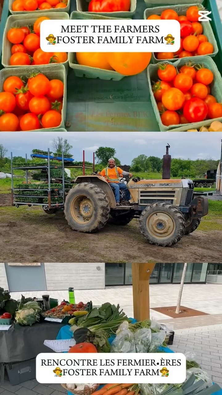 Post 7 by Zibi Canada on Instagram (video)