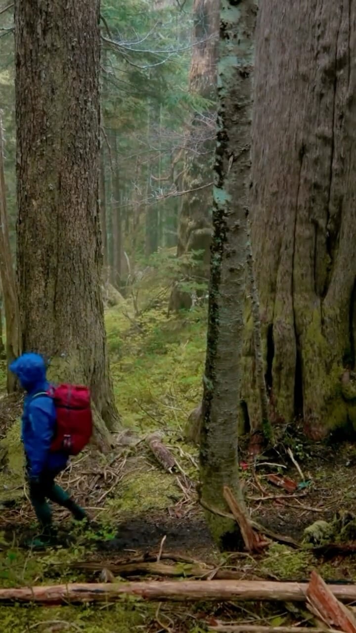 Post 7 by Cinema Politica on Instagram (video)