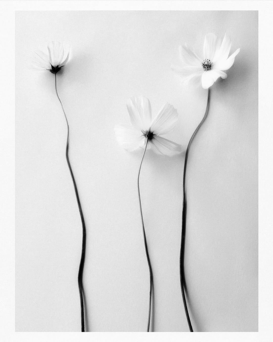 Post 9 by Anna Caroliné on Instagram (image)