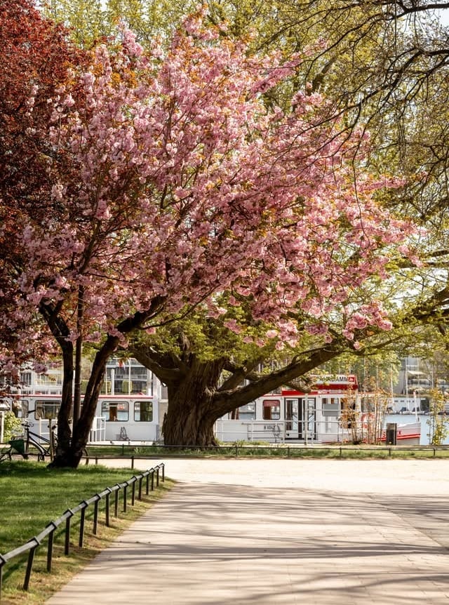 Post 2 by Caroline Bleicken | Fine Art & Urban Photographer on Instagram (image)