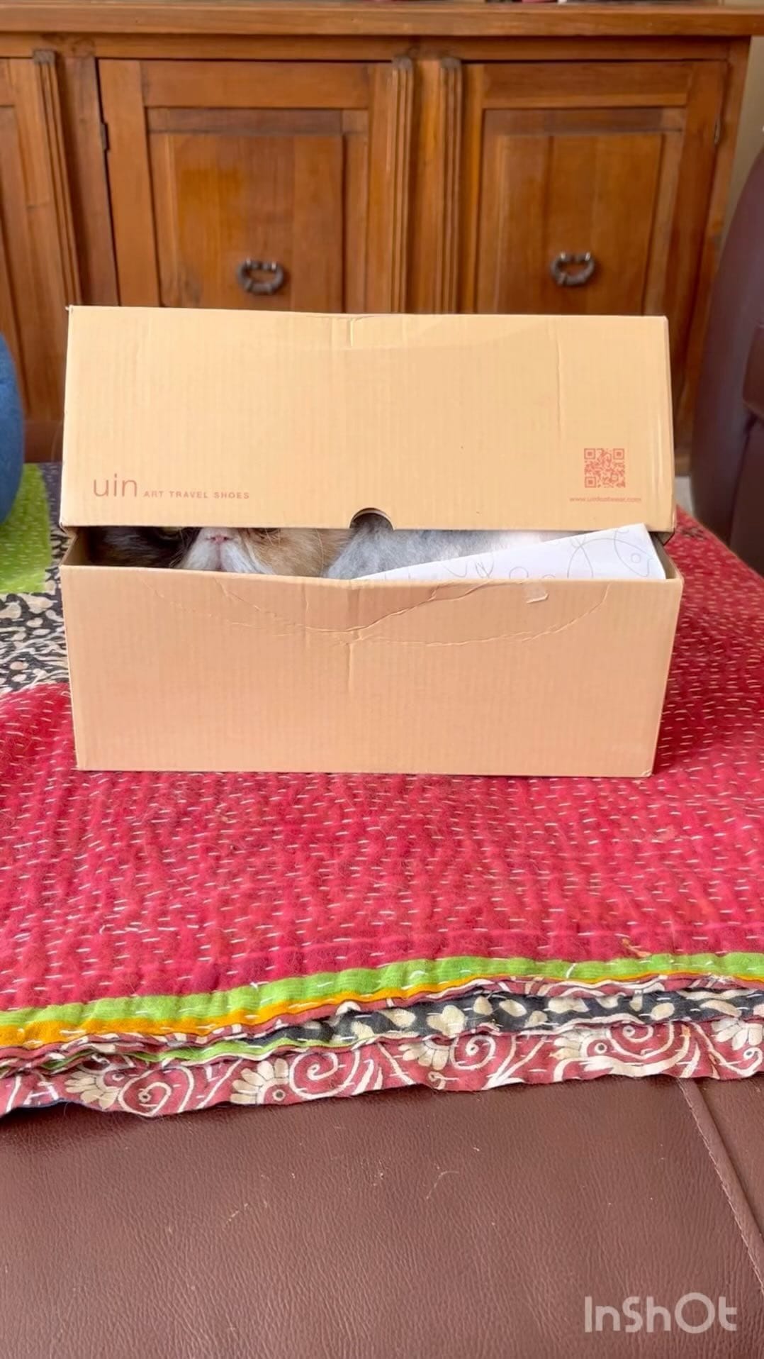 Post 10 by Pippin Took on Instagram (video)
