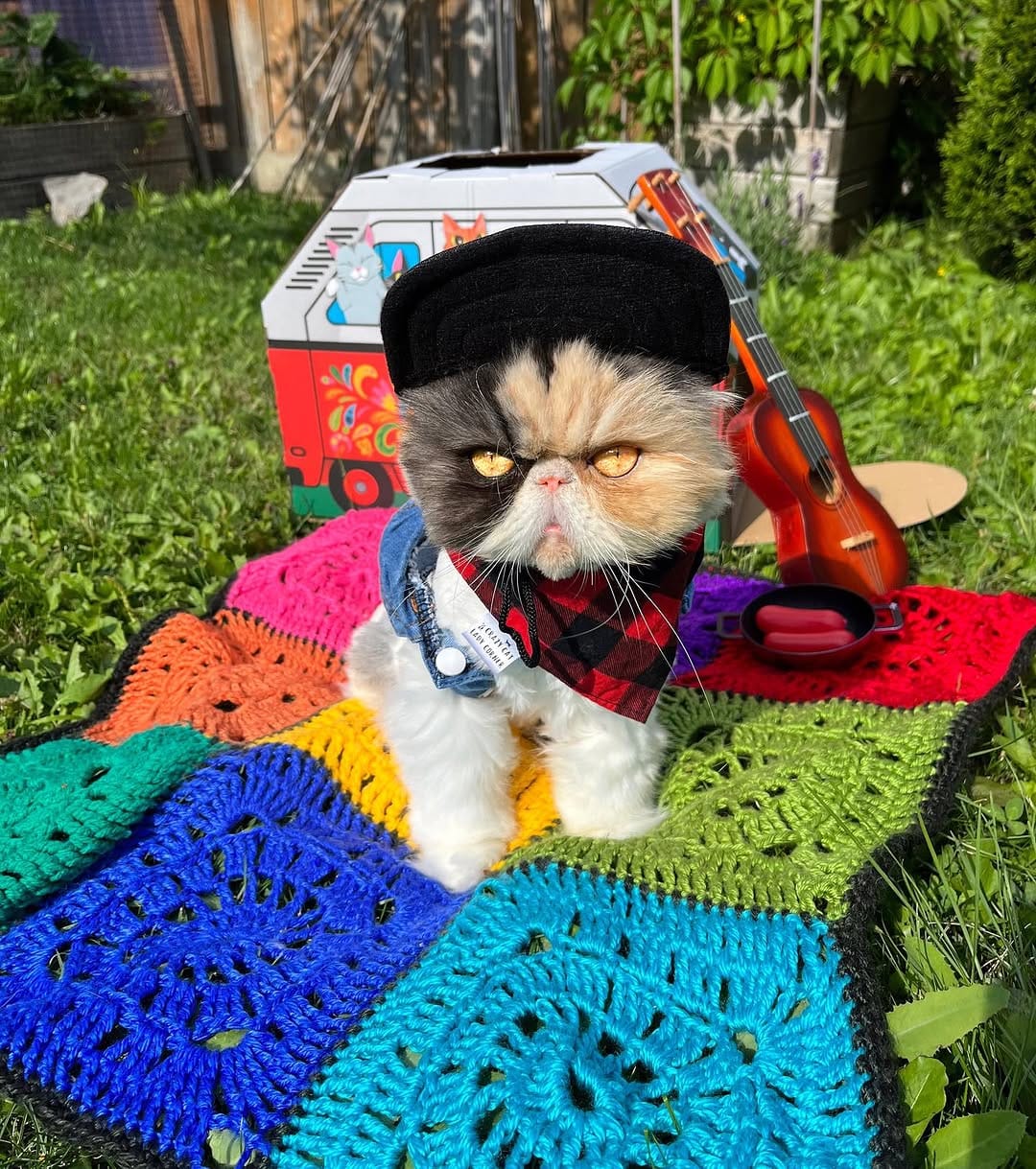 Post 5 by Pippin Took on Instagram (image)