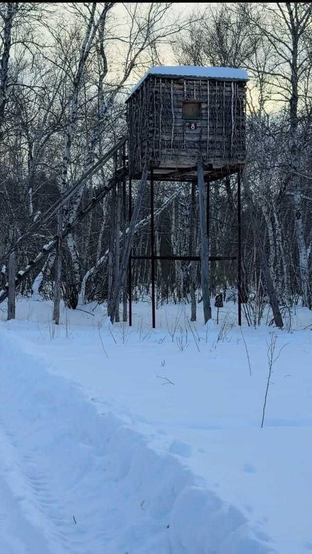 Post 7 by Nighthunter | Дмитрий Сыркин on Instagram (video)