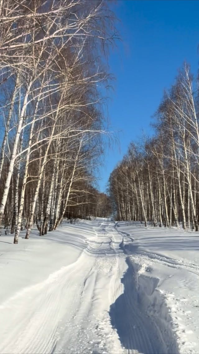 Post 4 by Nighthunter | Дмитрий Сыркин on Instagram (video)