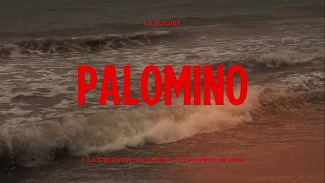 Post 5 by Alejandra on Instagram (video)