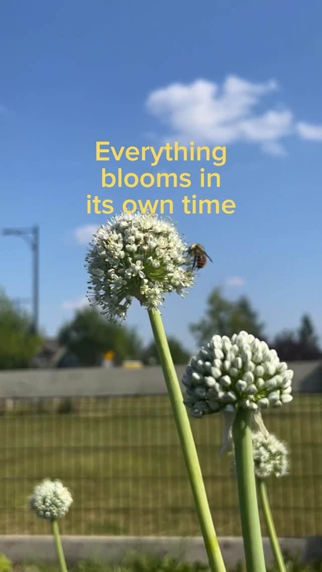 Post 1 by Brookfield YEG on Instagram (video)