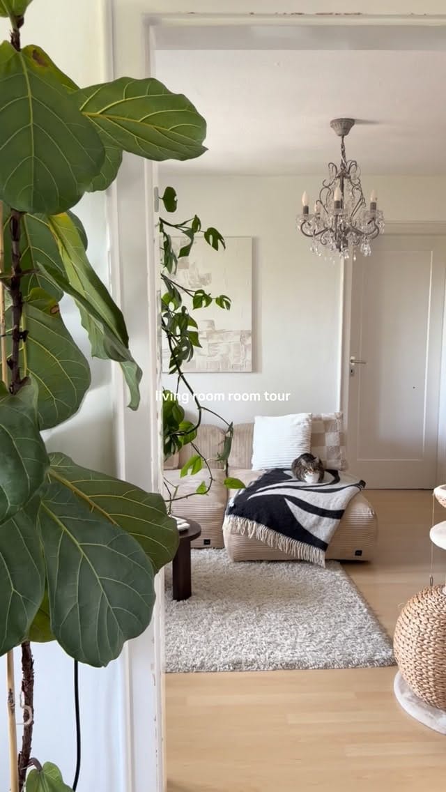 Post 4 by Lisa-Mercedes | Mid-Century Modern Interior on Instagram (video)