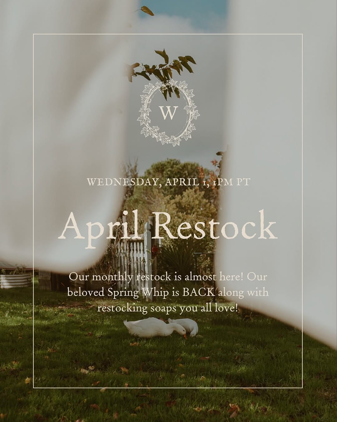 Post 10 by Becca  |  intuitive herbalism on Instagram (carousel)