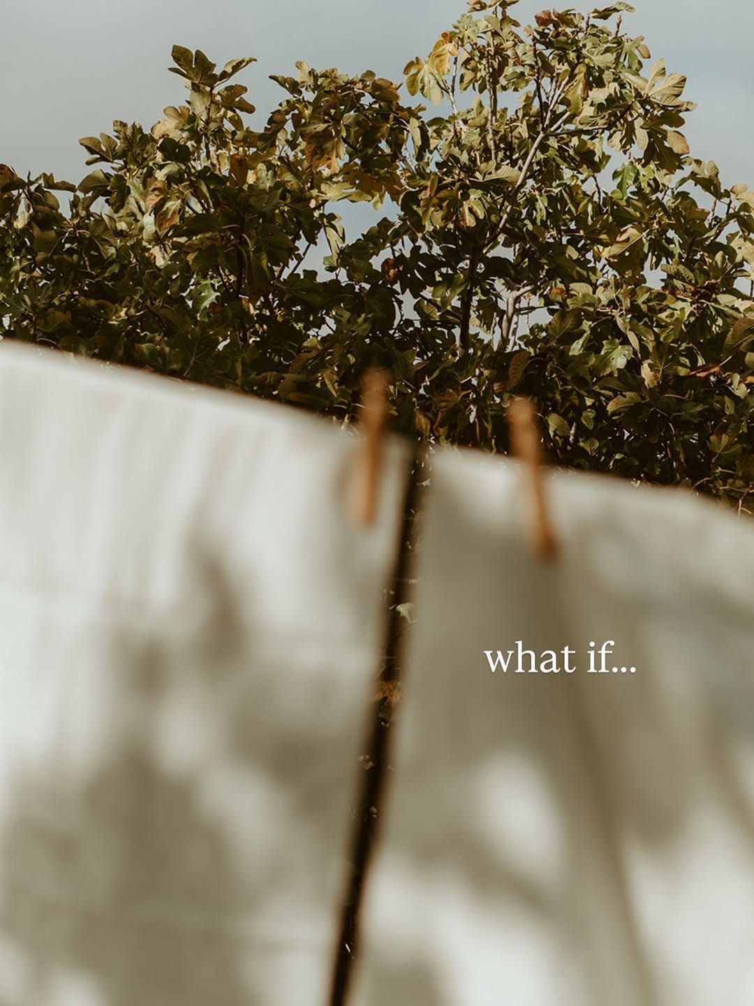 Post 8 by Becca  |  intuitive herbalism on Instagram (carousel)