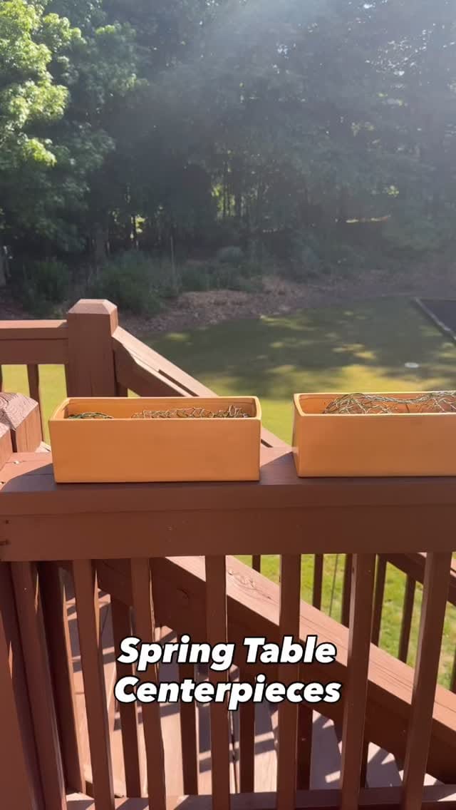Post 5 by Brianna Evans - Georgia Local Flowers & Veggies on Instagram (video)