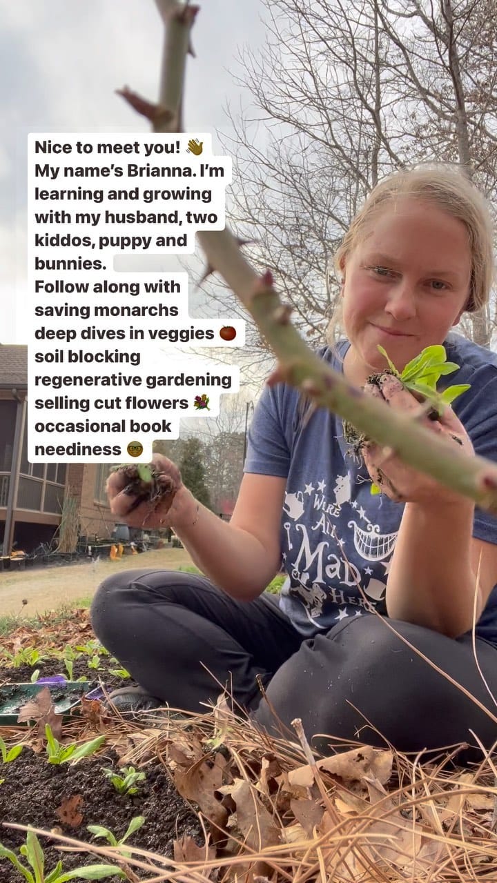 Post 10 by Brianna Evans - Georgia Local Flowers & Veggies on Instagram (video)