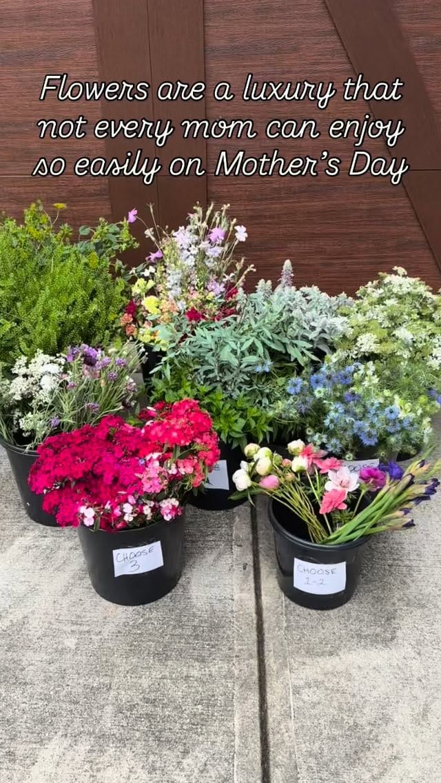 Post 8 by Brianna Evans - Georgia Local Flowers & Veggies on Instagram (video)