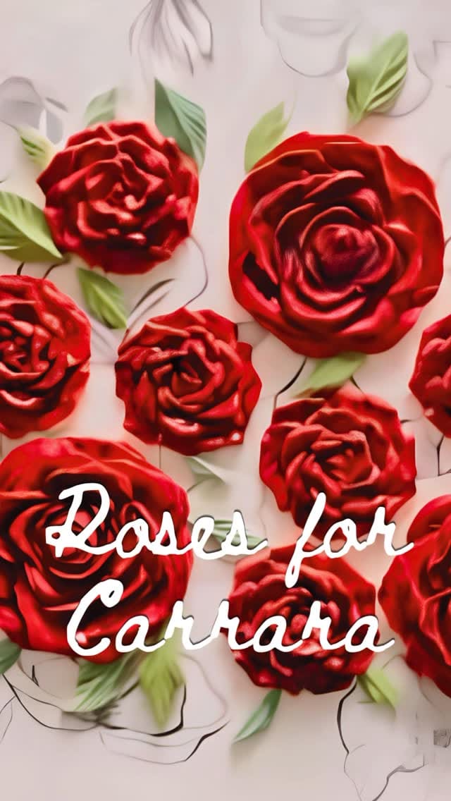 Post 3 by Kathryn Spooner Bossy 🇨🇦 on Instagram (video)