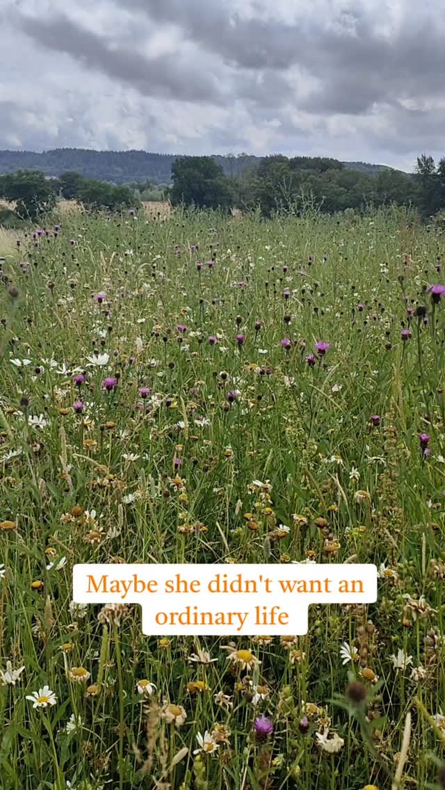 Post 6 by Ali Hutchinson on Instagram (video)