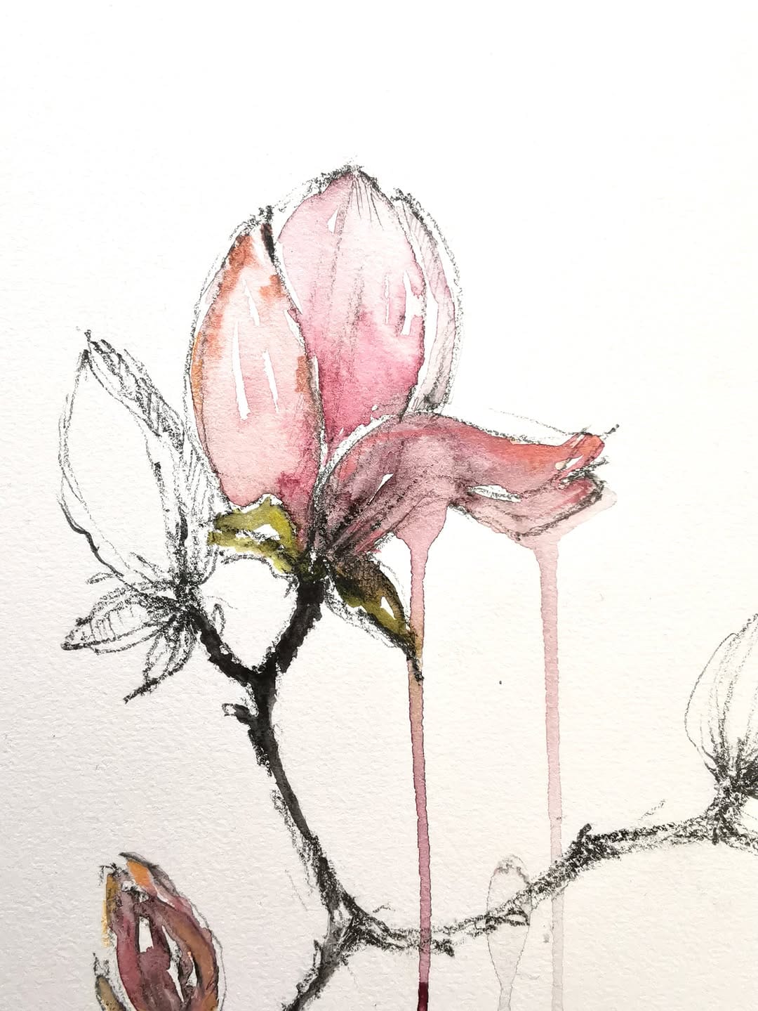Post 2 by Agata | Artist | Floral watercolor art on Instagram (image)